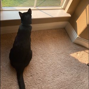 Meet your Posher, Trisha